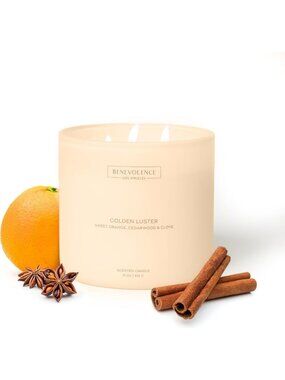 Large 3-Wick Scented Candle - Orange, Cedarwood & Clove | 15oz, 50-Hour Burn